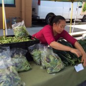 Waukesha Farmers' Market 06-27-2015-4