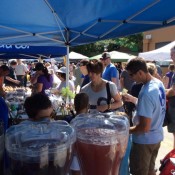 Waukesha Farmers' Market 06-27-2015-7